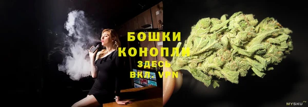 круглые Ельня
