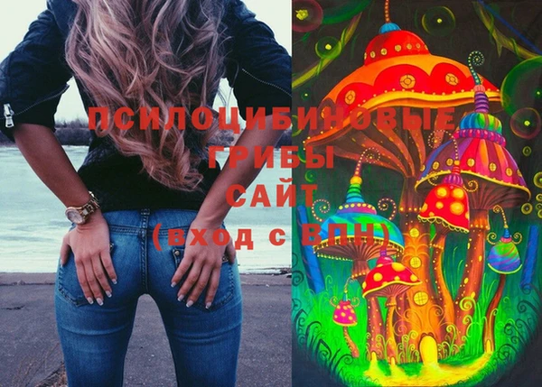 прущая мука Елизово