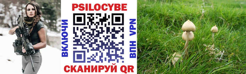 Галлюциногенные грибы Magic Shrooms  Купить где  Славгород 